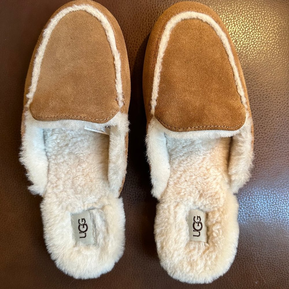 UGG Suede Slide-in Slippers/Scuffs/Size 8
